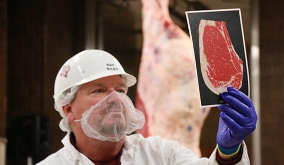 Texas A&M Foundation Features Standard Meat