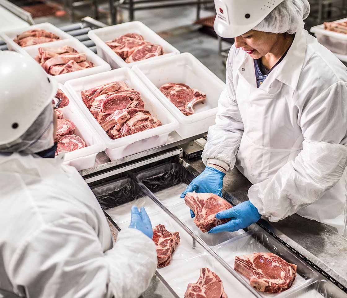 Expertise In Meat Science And Quality Assurance Standard Meat